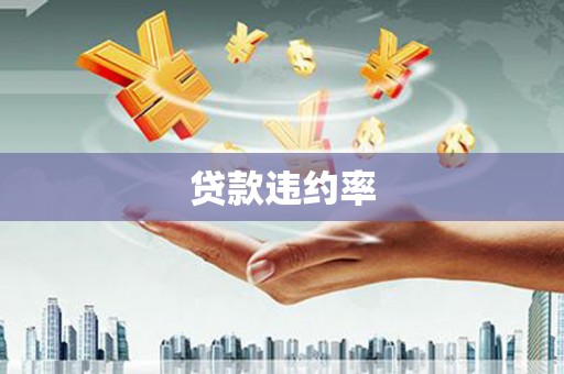 茂县贷款违约率