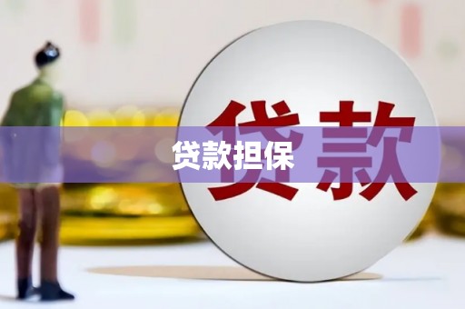 茂县贷款担保