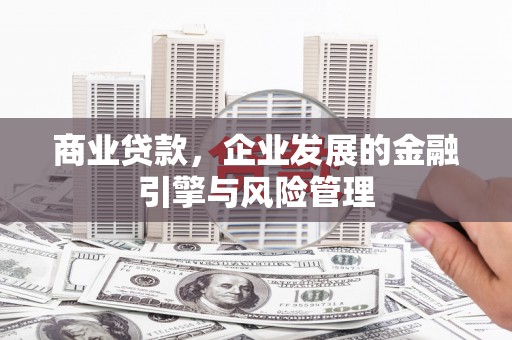 茂县商业贷款，企业发展的金融引擎与风险管理