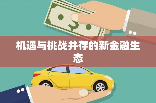 茂县机遇与挑战并存的新金融生态
