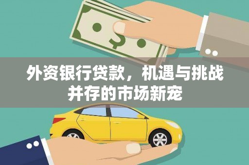 茂县外资银行贷款，机遇与挑战并存的市场新宠