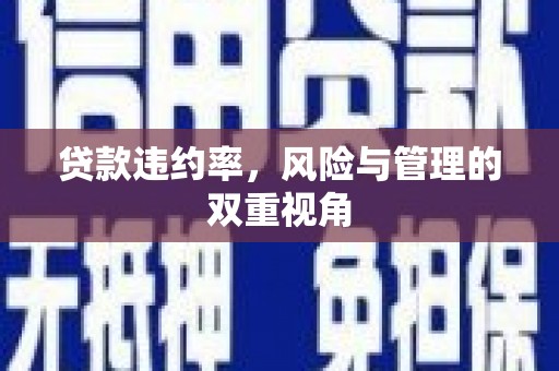 茂县贷款违约率，风险与管理的双重视角