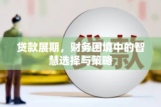 茂县贷款展期，财务困境中的智慧选择与策略