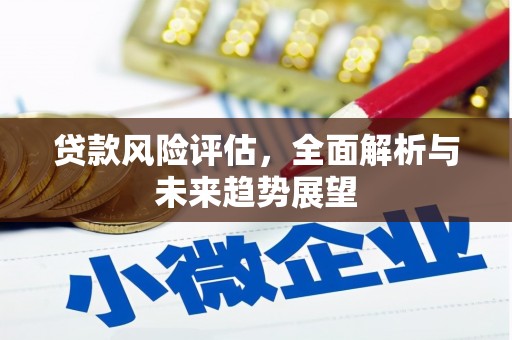 茂县贷款风险评估，全面解析与未来趋势展望