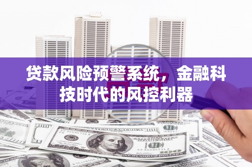 茂县贷款风险预警系统，金融科技时代的风控利器