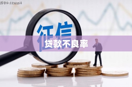 茂县贷款不良率