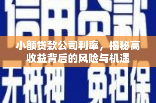 茂县小额贷款公司利率，揭秘高收益背后的风险与机遇