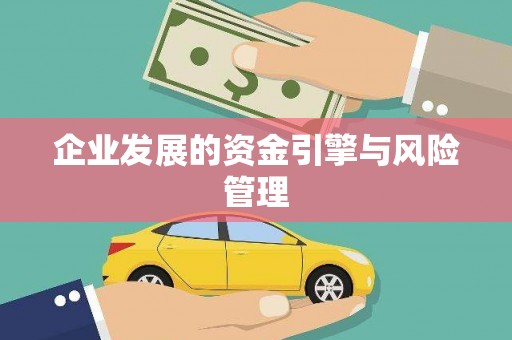 茂县企业发展的资金引擎与风险管理