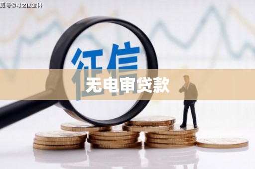 茂县无电审贷款