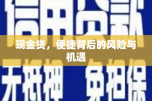 茂县现金贷，便捷背后的风险与机遇
