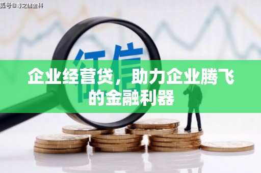 茂县企业经营贷，助力企业腾飞的金融利器