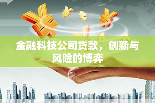 茂县金融科技公司贷款，创新与风险的博弈