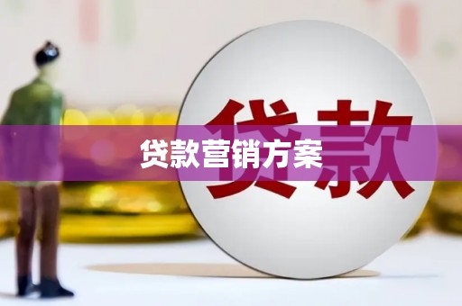 茂县贷款营销方案