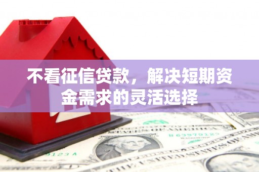 茂县不看征信贷款，解决短期资金需求的灵活选择