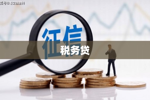 茂县税务贷