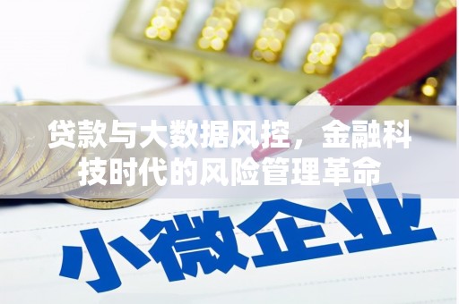 茂县贷款与大数据风控，金融科技时代的风险管理革命