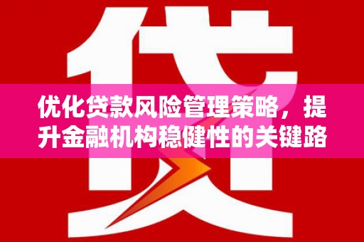 茂县优化贷款风险管理策略，提升金融机构稳健性的关键路径