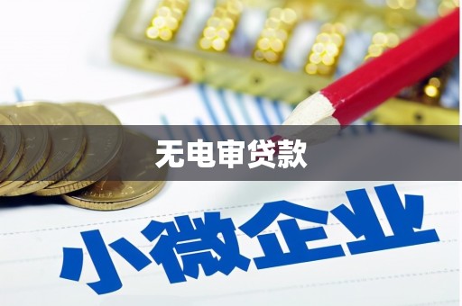 茂县无电审贷款