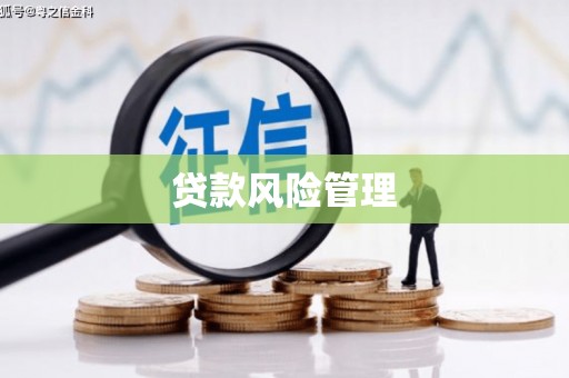 茂县贷款风险管理