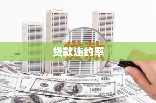 茂县贷款违约率