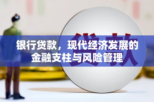 茂县银行贷款，现代经济发展的金融支柱与风险管理