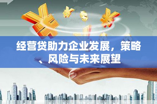 茂县经营贷助力企业发展，策略、风险与未来展望