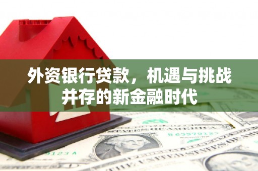茂县外资银行贷款，机遇与挑战并存的新金融时代