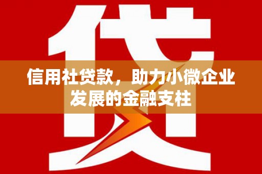 茂县信用社贷款，助力小微企业发展的金融支柱
