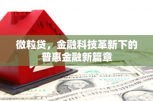 茂县微粒贷，金融科技革新下的普惠金融新篇章