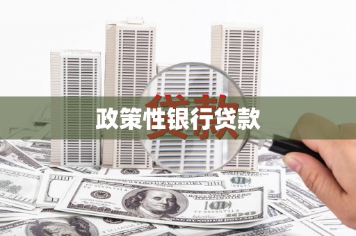 茂县政策性银行贷款