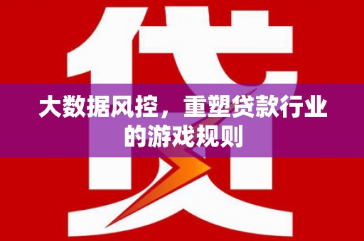 茂县大数据风控，重塑贷款行业的游戏规则