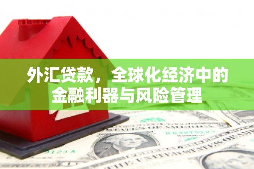 茂县外汇贷款，全球化经济中的金融利器与风险管理