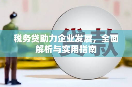 茂县税务贷助力企业发展，全面解析与实用指南