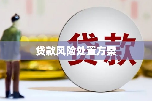 茂县贷款风险处置方案