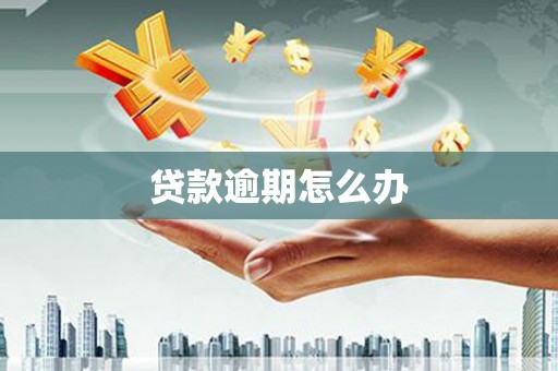茂县贷款逾期怎么办