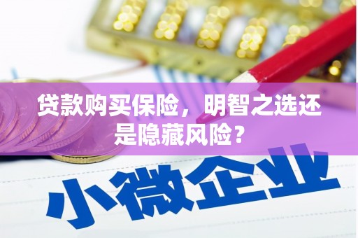 茂县贷款购买保险，明智之选还是隐藏风险？