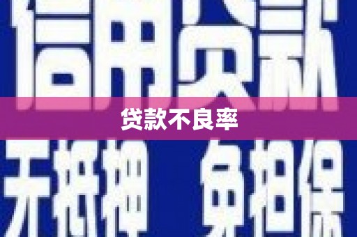 茂县贷款不良率