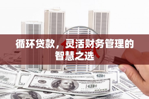 茂县循环贷款，灵活财务管理的智慧之选