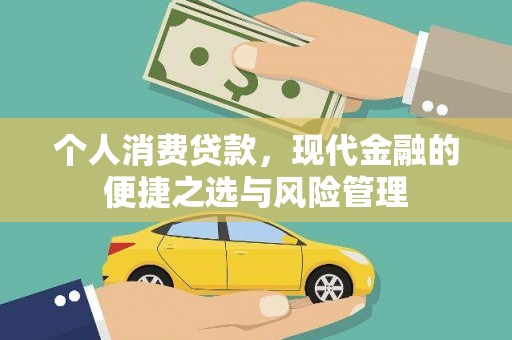 茂县个人消费贷款，现代金融的便捷之选与风险管理
