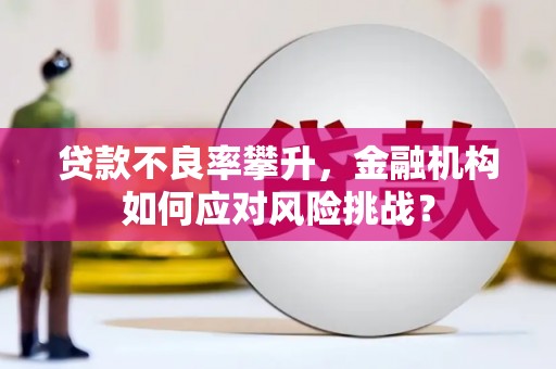 茂县贷款不良率攀升，金融机构如何应对风险挑战？