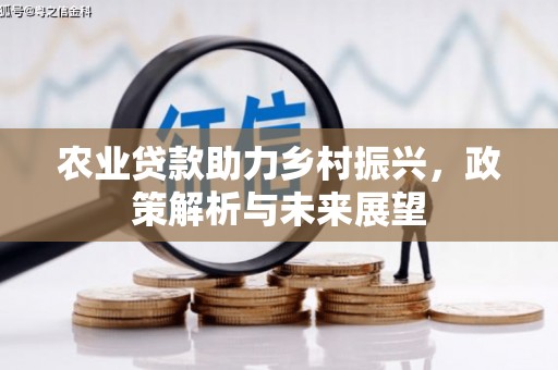 茂县农业贷款助力乡村振兴，政策解析与未来展望