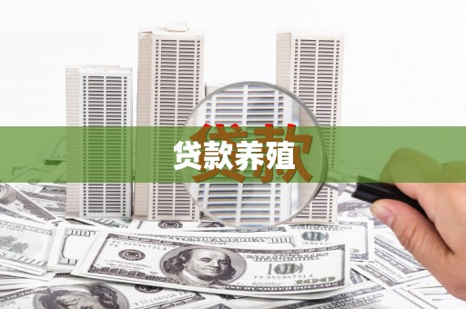 茂县贷款养殖