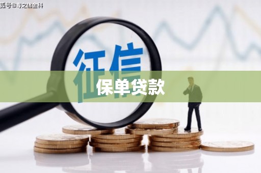 茂县保单贷款