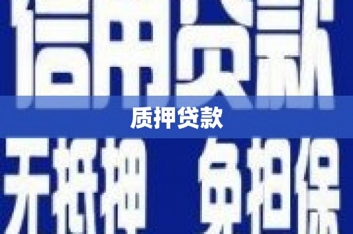 茂县质押贷款