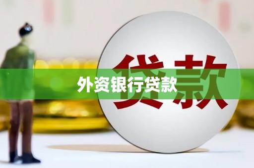茂县外资银行贷款
