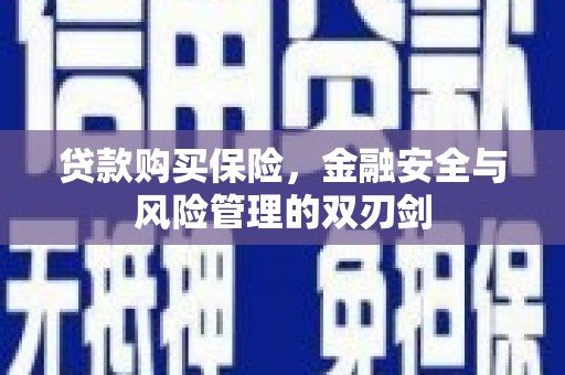 茂县贷款购买保险，金融安全与风险管理的双刃剑