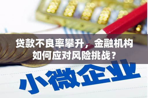 茂县贷款不良率攀升，金融机构如何应对风险挑战？