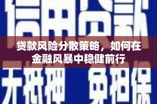 茂县贷款风险分散策略，如何在金融风暴中稳健前行