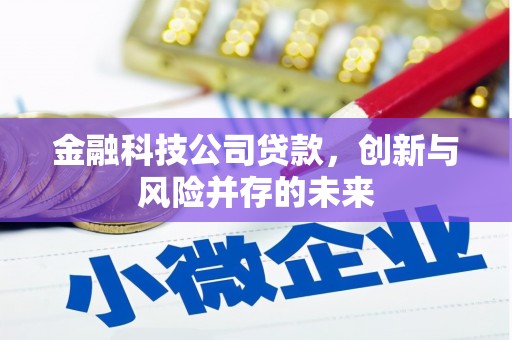 茂县金融科技公司贷款，创新与风险并存的未来