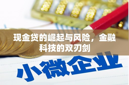 茂县现金贷的崛起与风险，金融科技的双刃剑